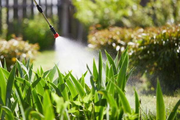 Tamper-Resistant Bait Stations for Rodents in North Oaks