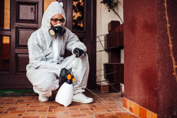Attic and Crawl Space Rodent Treatment in North Oaks