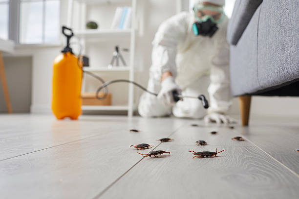 Commercial Rodent Management in North Oaks